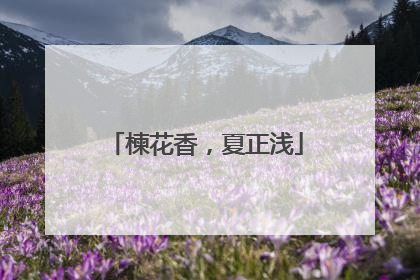 楝花香，夏正浅