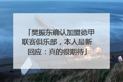 樊振东确认加盟德甲联赛俱乐部，本人最新回应：真的很期待