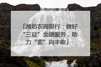 潍坊农商银行：做好“三夏”金融服务，助力“麦”向丰收