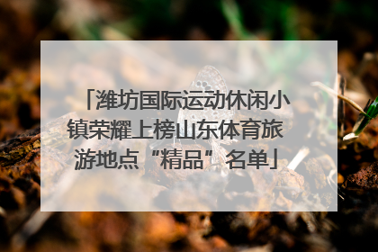 潍坊国际运动休闲小镇荣耀上榜山东体育旅游地点“精品”名单