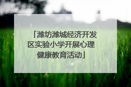 潍坊潍城经济开发区实验小学开展心理健康教育活动