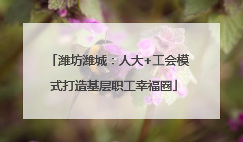 潍坊潍城：人大+工会模式打造基层职工幸福圈