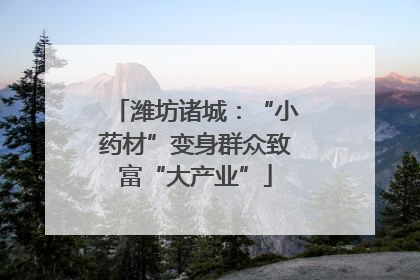 潍坊诸城：“小药材”变身群众致富“大产业”