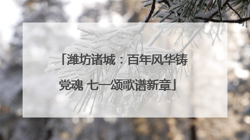 潍坊诸城：百年风华铸党魂 七一颂歌谱新章