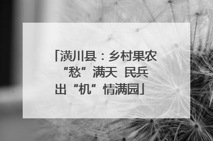 潢川县：乡村果农“愁”满天  民兵出“机”情满园