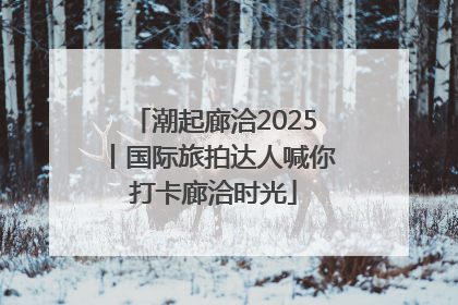 潮起廊洽2025丨国际旅拍达人喊你打卡廊洽时光