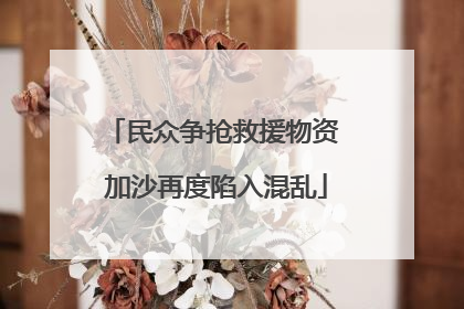 民众争抢救援物资 加沙再度陷入混乱