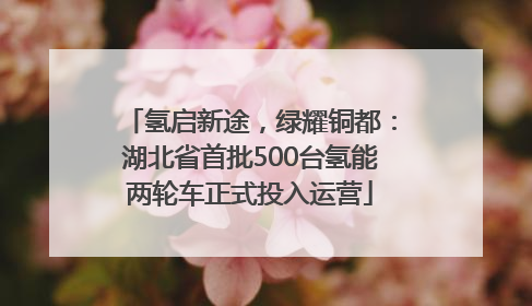 氢启新途，绿耀铜都：湖北省首批500台氢能两轮车正式投入运营