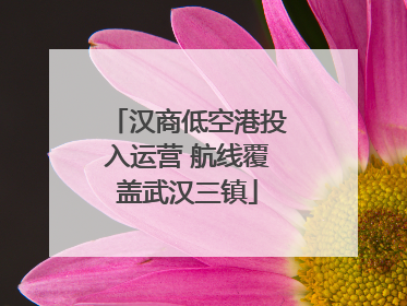 汉商低空港投入运营 航线覆盖武汉三镇