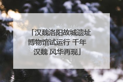 汉魏洛阳故城遗址博物馆试运行 千年汉魏 风华再现