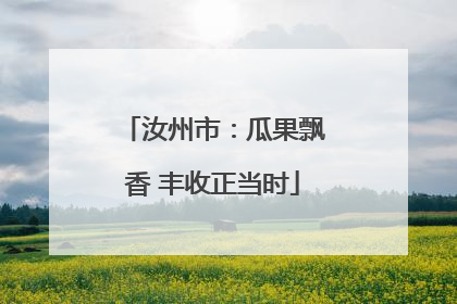 汝州市：瓜果飘香 丰收正当时