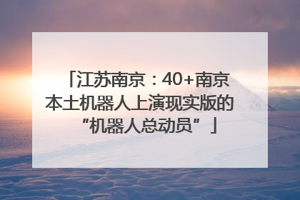 江苏南京：40+南京本土机器人上演现实版的“机器人总动员”