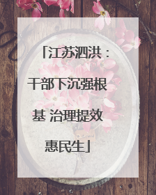 江苏泗洪：干部下沉强根基 治理提效惠民生