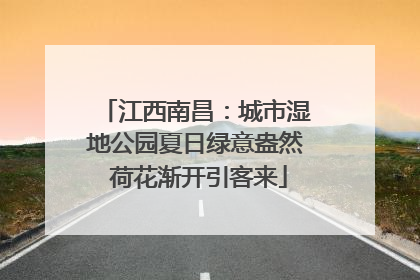 江西南昌：城市湿地公园夏日绿意盎然 荷花渐开引客来