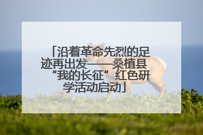 沿着革命先烈的足迹再出发——桑植县“我的长征”红色研学活动启动