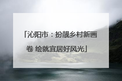 沁阳市：扮靓乡村新画卷 绘就宜居好风光