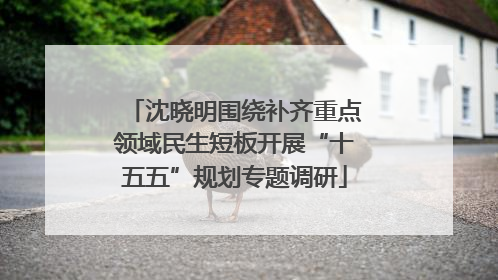 沈晓明围绕补齐重点领域民生短板开展“十五五”规划专题调研