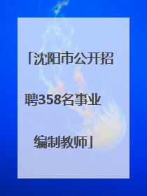 沈阳市公开招聘358名事业编制教师