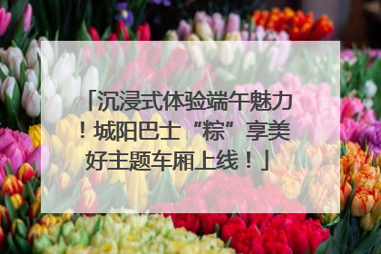 沉浸式体验端午魅力！城阳巴士“粽”享美好主题车厢上线！