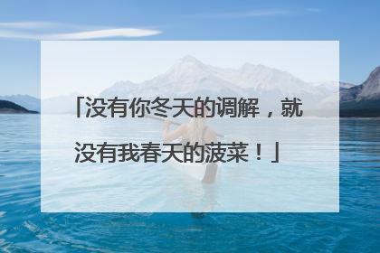 没有你冬天的调解，就没有我春天的菠菜！
