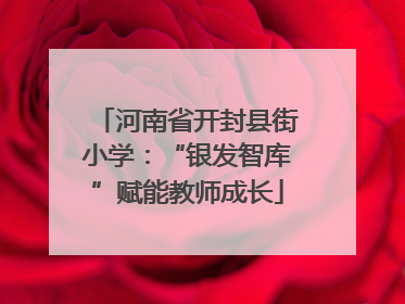 河南省开封县街小学：“银发智库”赋能教师成长