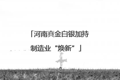 河南真金白银加持制造业“焕新”