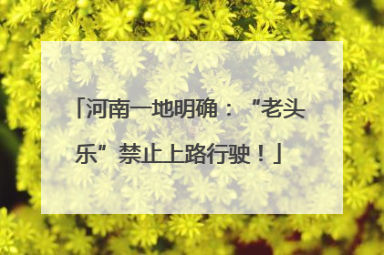 河南一地明确：“老头乐”禁止上路行驶！