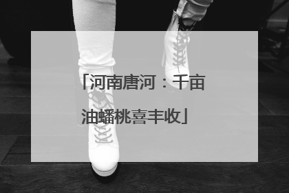 河南唐河：千亩油蟠桃喜丰收