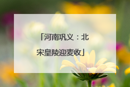 河南巩义：北宋皇陵迎麦收