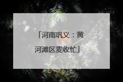 河南巩义：黄河滩区麦收忙