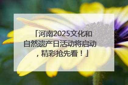 河南2025文化和自然遗产日活动将启动，精彩抢先看！