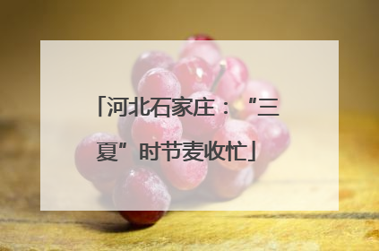 河北石家庄：“三夏”时节麦收忙