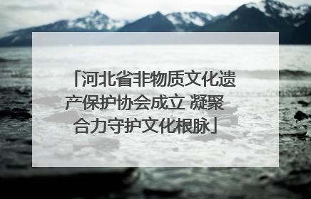 河北省非物质文化遗产保护协会成立 凝聚合力守护文化根脉