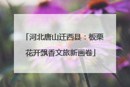 河北唐山迁西县：板栗花开飘香文旅新画卷