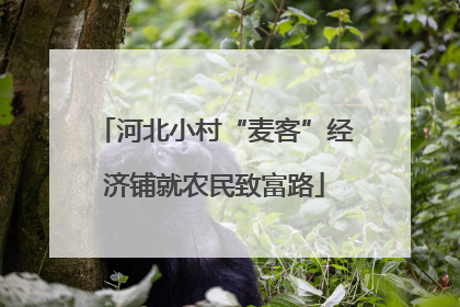 河北小村“麦客”经济铺就农民致富路