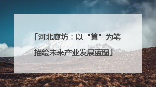 河北廊坊：以“算”为笔描绘未来产业发展蓝图