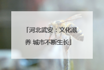 河北武安：文化滋养 城市不断生长