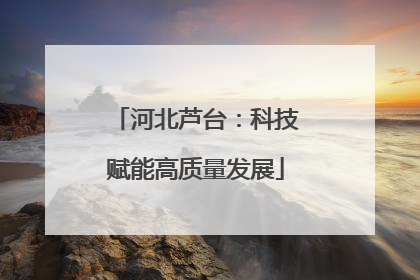 河北芦台：科技赋能高质量发展