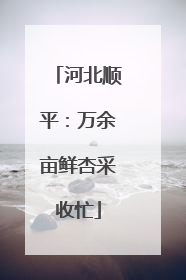 河北顺平：万余亩鲜杏采收忙