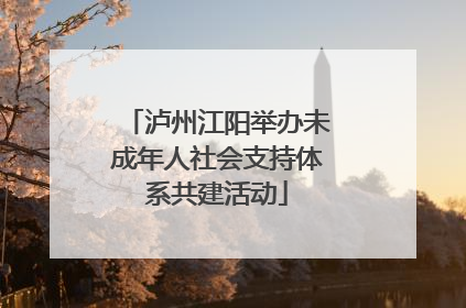 泸州江阳举办未成年人社会支持体系共建活动