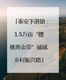 泰安下港镇：1.5万亩“樱桃黄金带”铺就乡村振兴路