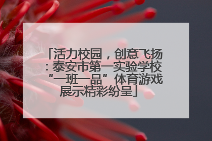 活力校园，创意飞扬：泰安市第一实验学校“一班一品”体育游戏展示精彩纷呈