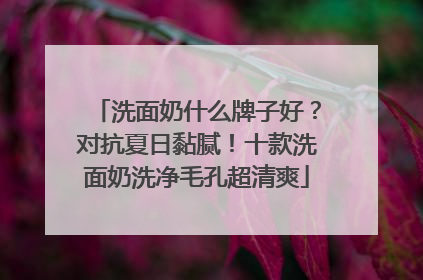 洗面奶什么牌子好？对抗夏日黏腻！十款洗面奶洗净毛孔超清爽