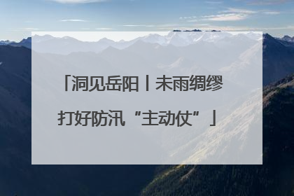 洞见岳阳丨未雨绸缪 打好防汛“主动仗”