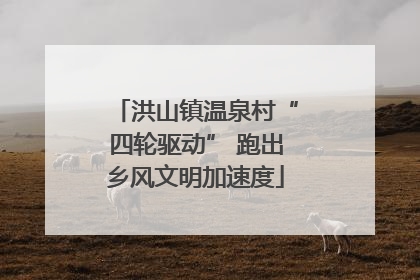 洪山镇温泉村“四轮驱动” 跑出乡风文明加速度
