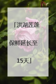洪湖莲蓬保鲜延长至15天