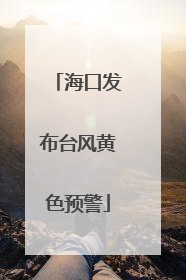海口发布台风黄色预警