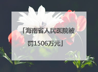 海南省人民医院被罚1506万元