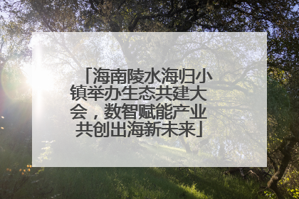 海南陵水海归小镇举办生态共建大会，数智赋能产业共创出海新未来