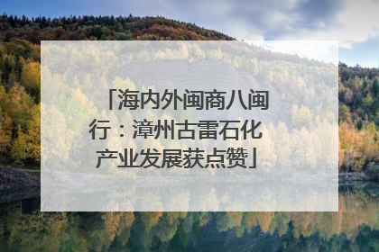 海内外闽商八闽行：漳州古雷石化产业发展获点赞